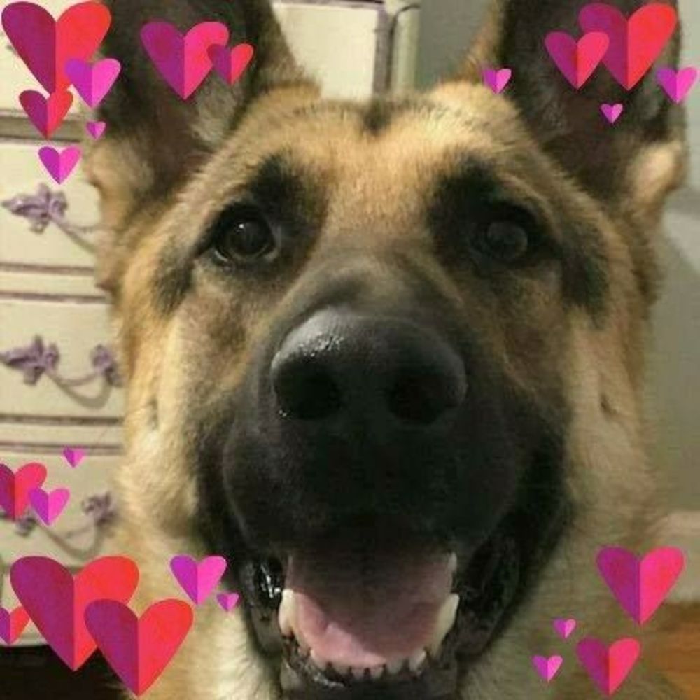 Meet your Posher, Mayra